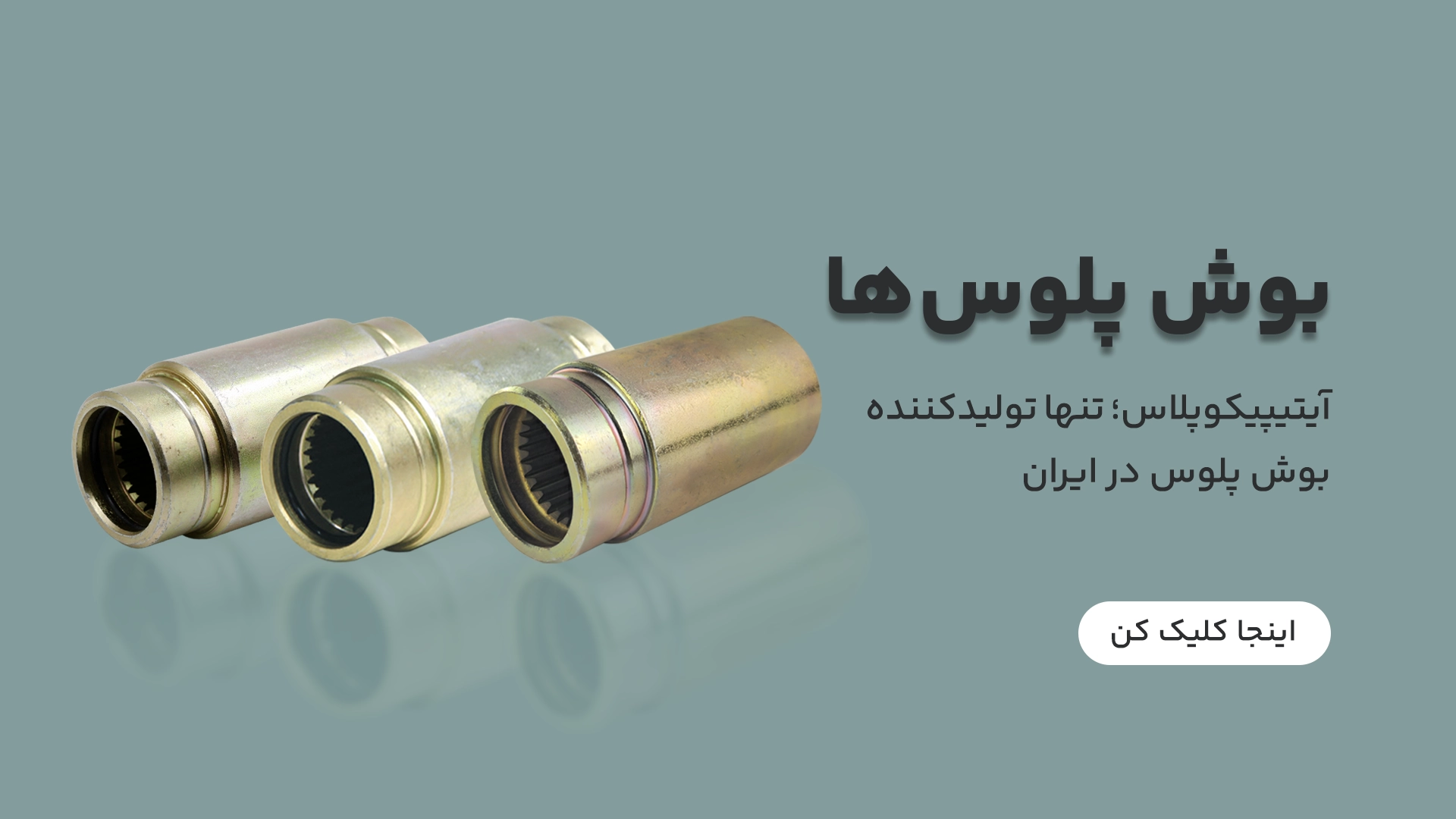 بوش پلوس